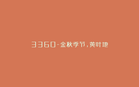 3360-金秋季节，黄叶地