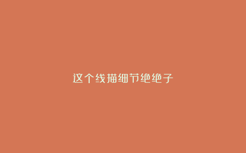 这个线描细节绝绝子