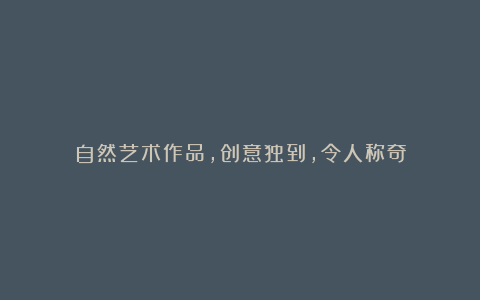 自然艺术作品，创意独到，令人称奇