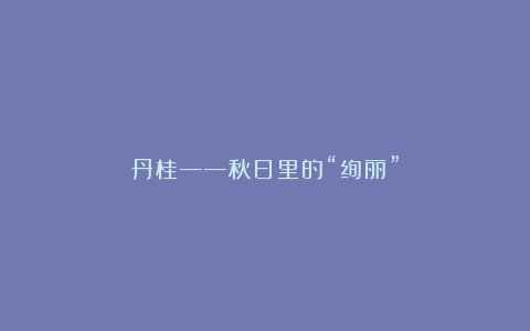 丹桂——秋日里的“绚丽”