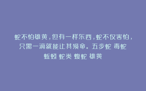 蛇不怕雄黄，但有一样东西，蛇不仅害怕，只需一滴就能让其殒命。|五步蛇|毒蛇|蚯蚓|蛇类|蝮蛇|雄黄