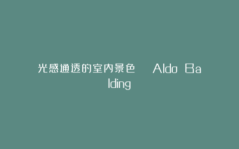 光感通透的室内景色 | Aldo Balding