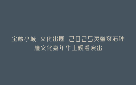 宝藏小城 文化出圈 2025灵璧奇石钟馗文化嘉年华上观看演出