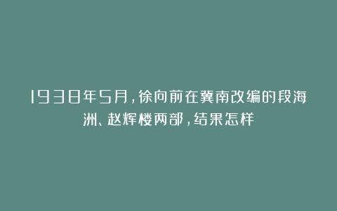1938年5月,徐向前在冀南改编的段海洲、赵辉楼两部,结果怎样?