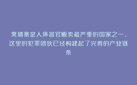 柬埔寨是人体器官贩卖最严重的国家之一，这里的犯罪团伙已经构建起了完善的产业链条