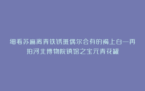 细看苏麻离青铁锈斑偶尔会有的褐上白—再拍河北博物院镇馆之宝元青花罐