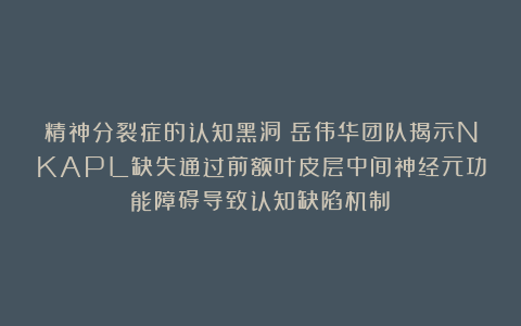 精神分裂症的认知黑洞！岳伟华团队揭示NKAPL缺失通过前额叶皮层中间神经元功能障碍导致认知缺陷机制​