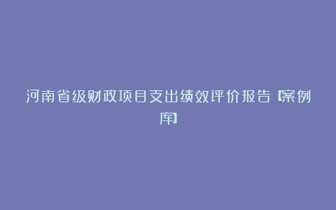 河南省级财政项目支出绩效评价报告【案例库】
