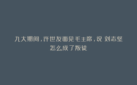 九大期间，许世友面见毛主席，说：刘志坚怎么成了叛徒？