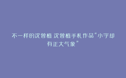 不一样的沈曾植：沈曾植手札作品“小字却有正大气象”！