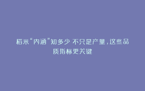 稻米“内涵”知多少？不只是产量，这些品质指标更关键！