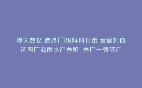 惨失数亿？遭遇17级阵风打击！麦德姆血洗两广海南水产养殖，养户一朝破产