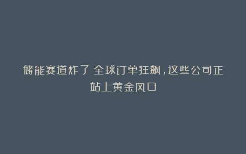 储能赛道炸了！全球订单狂飙，这些公司正站上黄金风口