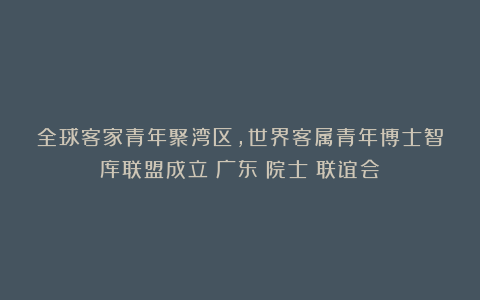 全球客家青年聚湾区，世界客属青年博士智库联盟成立|广东|院士|联谊会