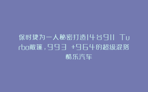 保时捷为一人秘密打造14台911 Turbo敞篷，993 +964的超级混搭 | 酷乐汽车