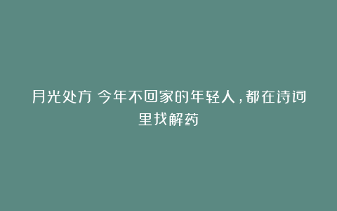 月光处方：今年不回家的年轻人，都在诗词里找解药