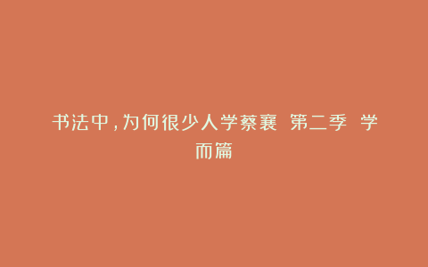 书法中，为何很少人学蔡襄？（第二季 学而篇）