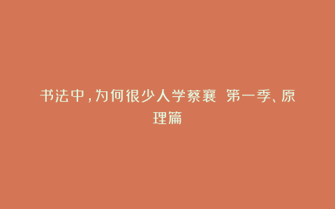 书法中，为何很少人学蔡襄？（第一季、原理篇）