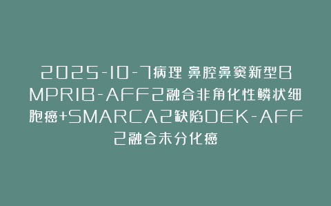 2025-10-7病理：鼻腔鼻窦新型BMPR1B-AFF2融合非角化性鳞状细胞癌+SMARCA2缺陷DEK-AFF2融合未分化癌