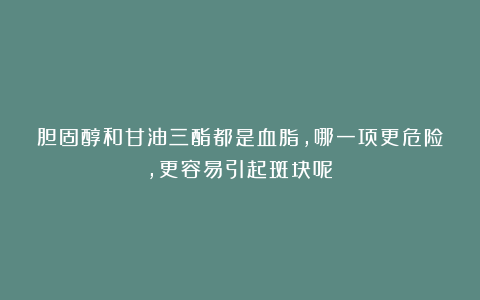 胆固醇和甘油三酯都是血脂，哪一项更危险，更容易引起斑块呢？