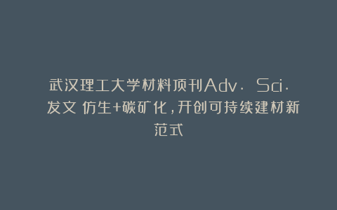 武汉理工大学材料顶刊Adv. Sci. 发文：仿生+碳矿化，开创可持续建材新范式