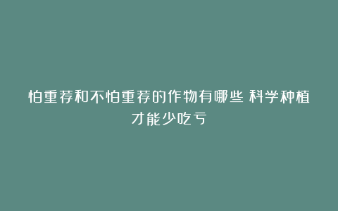 怕重茬和不怕重茬的作物有哪些？科学种植才能少吃亏！