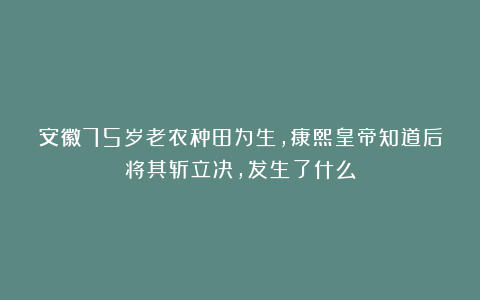 安徽75岁老农种田为生，康熙皇帝知道后将其斩立决，发生了什么
