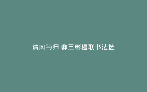 清风与归｜卿三彬楹联书法选
