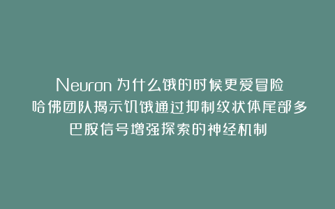 《Neuron》为什么饿的时候更爱冒险？哈佛团队揭示饥饿通过抑制纹状体尾部多巴胺信号增强探索的神经机制