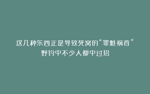 这几种东西正是导致死窝的“罪魁祸首”！野钓中不少人都中过招