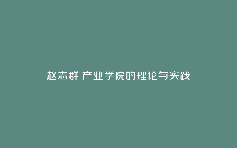 赵志群：产业学院的理论与实践
