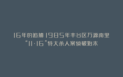 16年的追捕！1985年丰台区万源南里“11·16”特大杀人案侦破始末