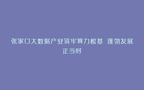 张家口大数据产业筑牢算力根基 蓬勃发展正当时