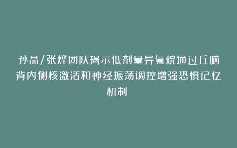孙晶/张烨团队揭示低剂量异氟烷通过丘脑背内侧核激活和神经振荡调控增强恐惧记忆机制​​