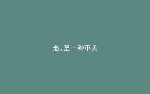 拙，是一种审美