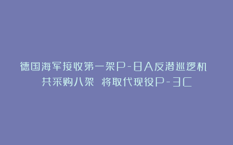 德国海军接收第一架P-8A反潜巡逻机 共采购八架 将取代现役P-3C