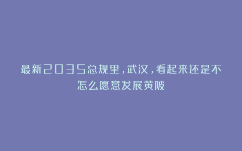 最新2035总规里，武汉，看起来还是不怎么愿意发展黄陂