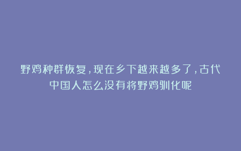 野鸡种群恢复，现在乡下越来越多了，古代中国人怎么没有将野鸡驯化呢？