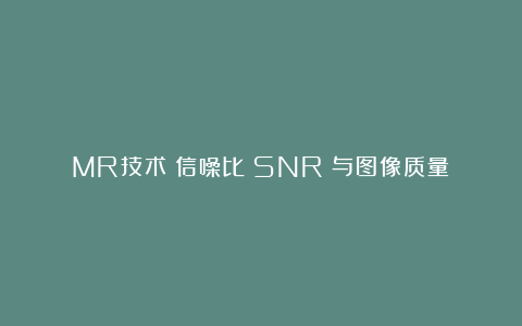 MR技术：信噪比（SNR）与图像质量