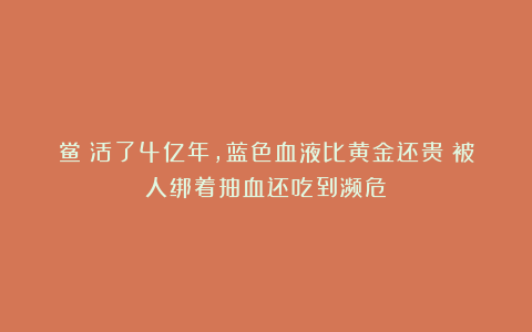 鲎：活了4亿年，蓝色血液比黄金还贵！被人绑着抽血还吃到濒危？