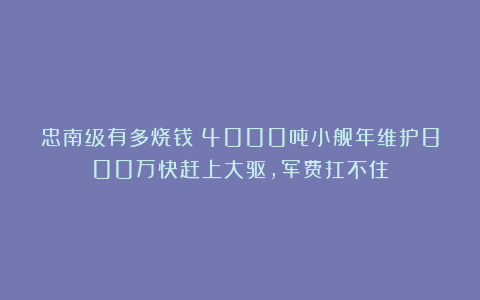 忠南级有多烧钱？4000吨小舰年维护800万快赶上大驱，军费扛不住