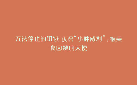 无法停止的饥饿:认识“小胖威利”,被美食囚禁的天使