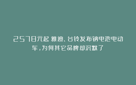 2578元起！雅迪、台铃发布钠电池电动车，为何其它品牌却沉默了？