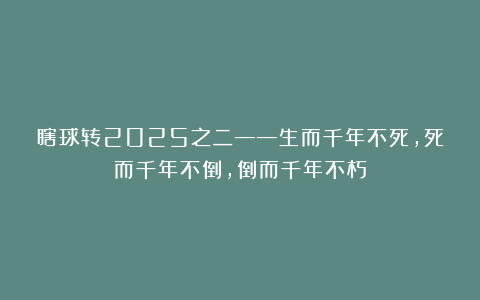 瞎球转2025之二——生而千年不死，死而千年不倒，倒而千年不朽