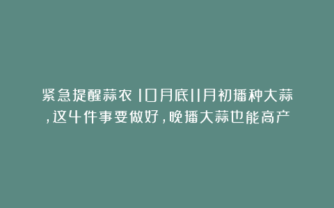 紧急提醒蒜农:10月底11月初播种大蒜,这4件事要做好,晚播大蒜也能高产
