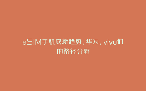 eSIM手机成新趋势，华为、vivo们的路径分野