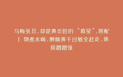 乌梅虽丑,却是鼻炎娃的 “救星”,搭配 1 物煮水喝,肺燥鼻干过敏全赶走,体质蹭蹭强!