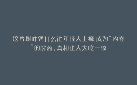 这片树叶凭什么让年轻人上瘾?成为“内卷”的解药,真相让人大吃一惊