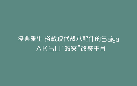 经典重生:搭载现代战术配件的Saiga AKSU“短突”改装平台