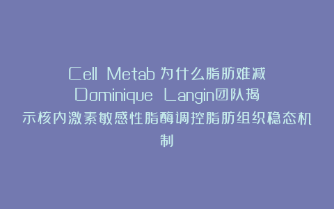 Cell Metab:为什么脂肪难减?Dominique Langin团队揭示核内激素敏感性脂酶调控脂肪组织稳态机制